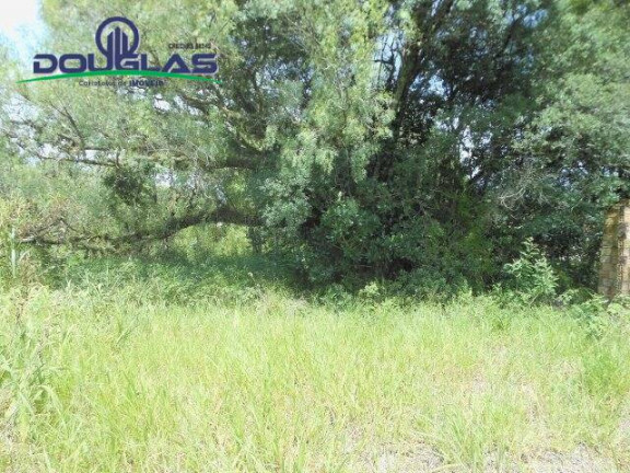 Imagem Imóvel Comercial à Venda, 13 m² em Viamão