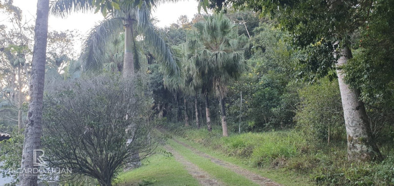 Imagem Imóvel com 4 Quartos à Venda, 7.000 m² em Chácaras Copaco - Arujá