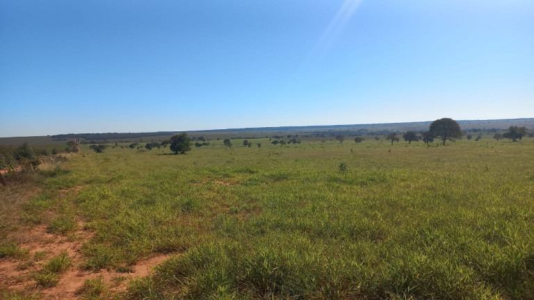 Imagem Imóvel à Venda, 493 m² em área Rural De Ribas Do Rio Pardo - Ribas Do Rio Pardo Imagem Imóvel à Venda, 493 m² em área Rural De Ribas Do Rio Pardo - Ribas Do Rio Pardo