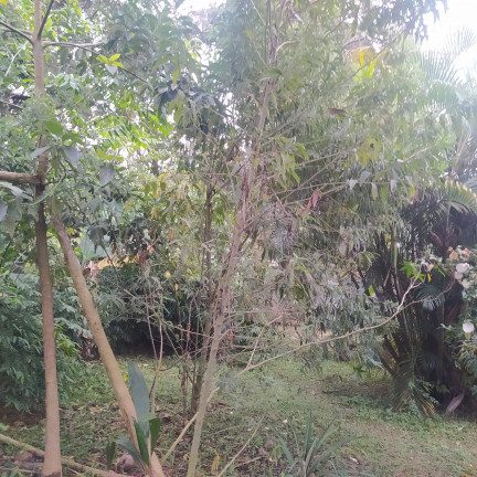 Imagem Fazenda à Venda, 2.000 m² em Chácara Bom Tempo - Franco Da Rocha
