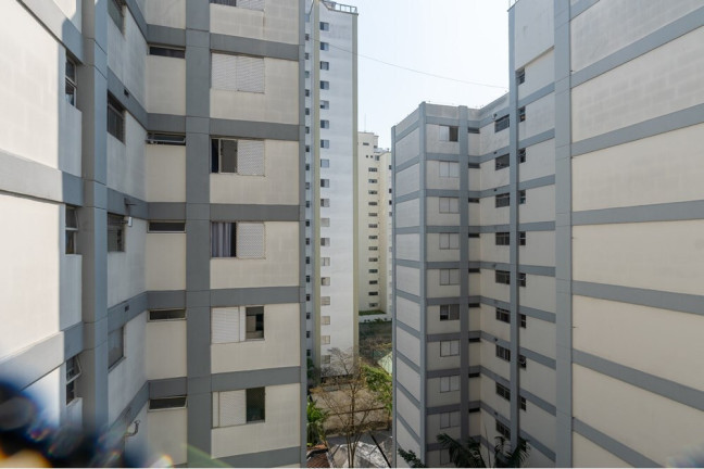 Imagem Apartamento com 3 Quartos à Venda, 74 m² em Vila Sofia - São Paulo Imagem Apartamento com 3 Quartos à Venda, 74 m² em Vila Sofia - São Paulo