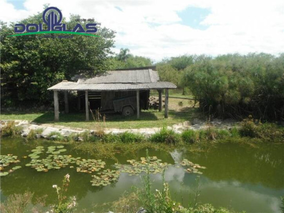 Imagem Chácara com 3 Quartos à Venda, 109 m² em Passo Vigário - Viamão