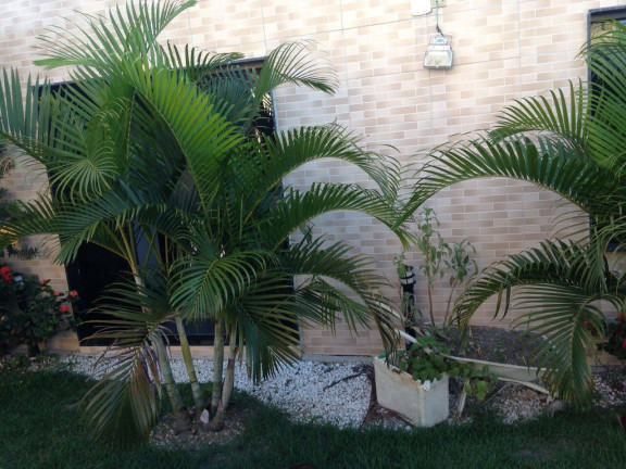 Imagem Casa com 3 Quartos à Venda, 250 m² em Parque Jóquei Club - Campos Dos Goytacazes Imagem Casa com 3 Quartos à Venda, 250 m² em Parque Jóquei Club - Campos Dos Goytacazes