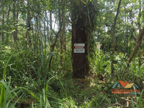 Terreno à Venda, 480 m² em Jardim Capricórnio - Caraguatatuba
