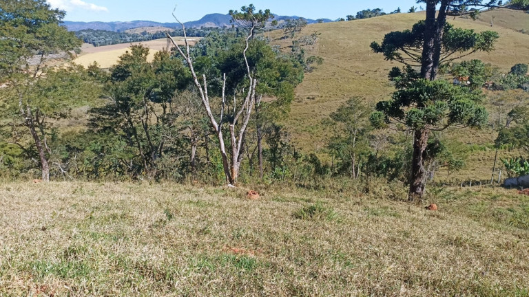 Imagem Chácara com 2 Quartos à Venda, 100 m² em Centro - Paraibuna
