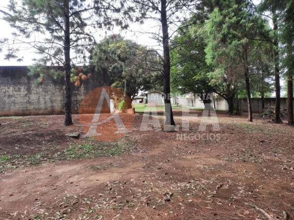 Imagem Imóvel com 3 Quartos à Venda, 150 m² em Bunjiro Nakao - Ibiúna Imagem Imóvel com 3 Quartos à Venda, 150 m² em Bunjiro Nakao - Ibiúna
