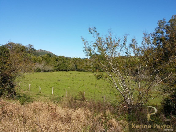 Imagem Terreno à Venda, 3.000 m² em Fazenda São Borja - São Leopoldo