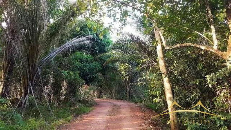 Imagem Terreno à Venda, 390 m² em Emaus - Parnamirim