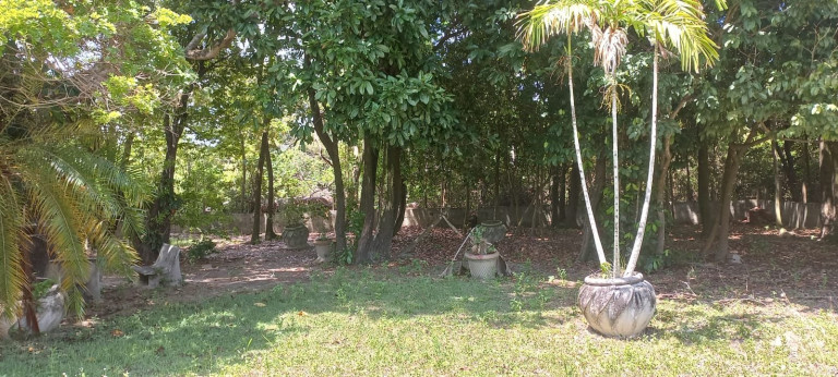 Imagem Casa à Venda, 938 m² em Encanto Igarassu - Igarassu