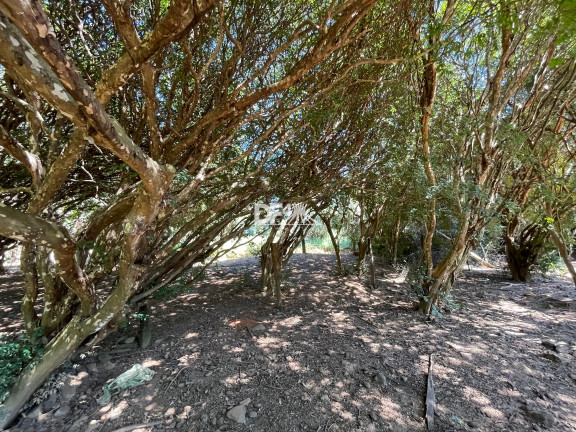 Imagem Imóvel com 6 Quartos à Venda, 816.000 m² em Jardim Goiás - Goiânia