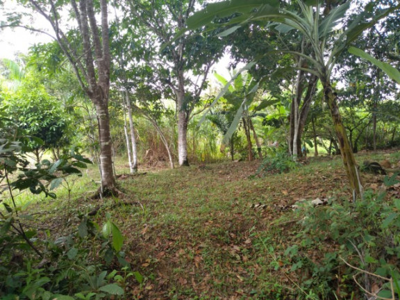 Imóvel à Venda,  em Rural - Uruçuca
