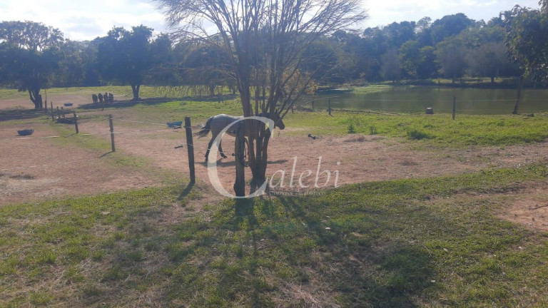Imagem Chácara com 5 Quartos à Venda, 3 m² em Varginha - Santo Antônio De Posse Imagem Chácara com 5 Quartos à Venda, 3 m² em Varginha - Santo Antônio De Posse