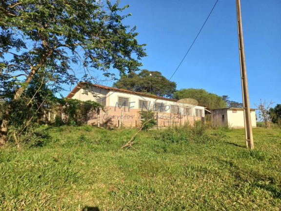 Imagem Fazenda à Venda, 65.340 m² em Bonfim - Pirassununga Imagem Fazenda à Venda, 65.340 m² em Bonfim - Pirassununga
