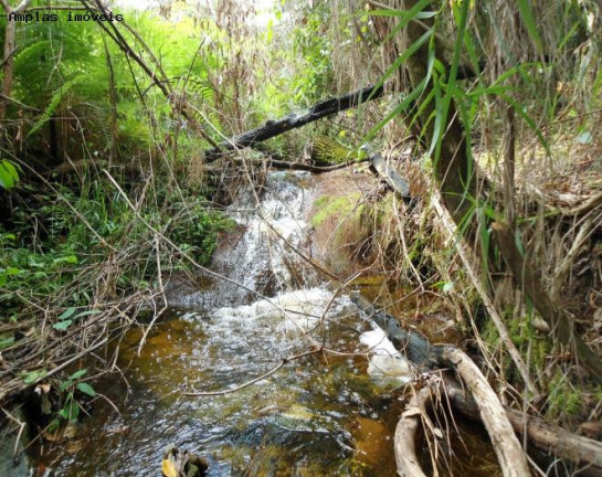 Imagem Fazenda à Venda, 164 m² em Monjolos área Rural - Monjolos