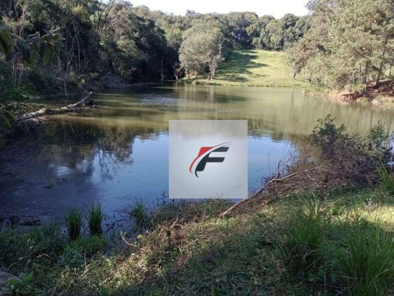 Imagem Chácara com 3 Quartos à Venda, 242.000 m² em Centro - Lapa Imagem Chácara com 3 Quartos à Venda, 242.000 m² em Centro - Lapa
