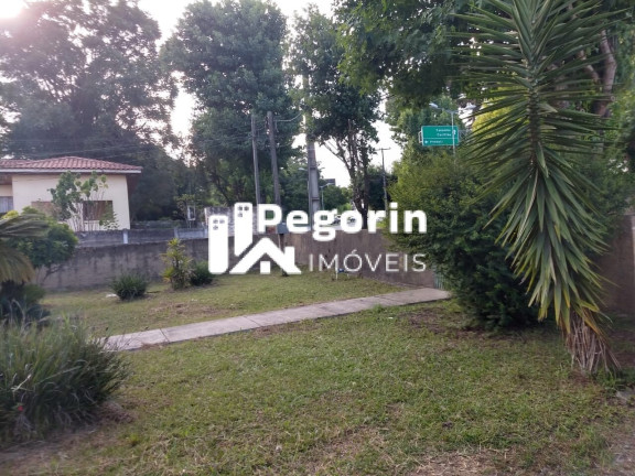 Imagem Terreno à Venda, 6.325 m² em Jardim Cláudia - Pinhais