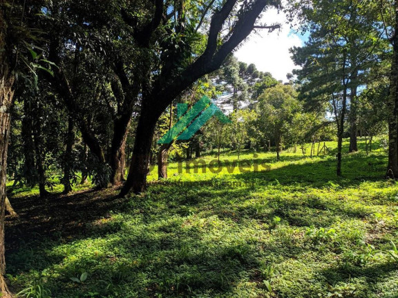 Imagem Terreno à Venda, 1.977 m² em Cachoeira - Curitiba Imagem Terreno à Venda, 1.977 m² em Cachoeira - Curitiba