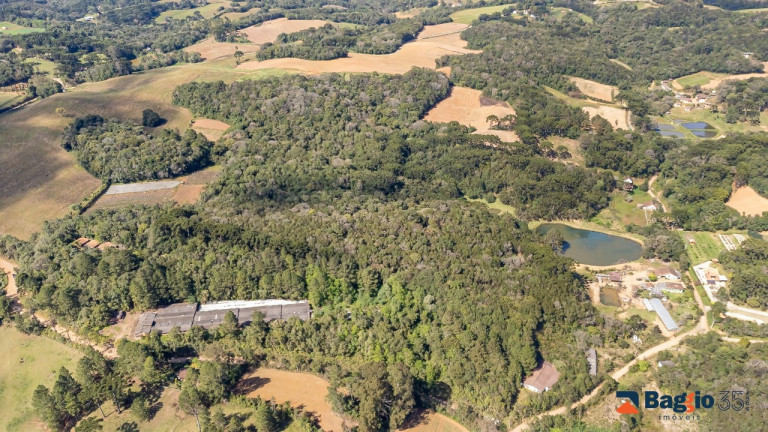 Imagem Imóvel com 1 Quarto à Venda, 56.643 m² em Ferraria - Campo Largo Imagem Imóvel com 1 Quarto à Venda, 56.643 m² em Ferraria - Campo Largo