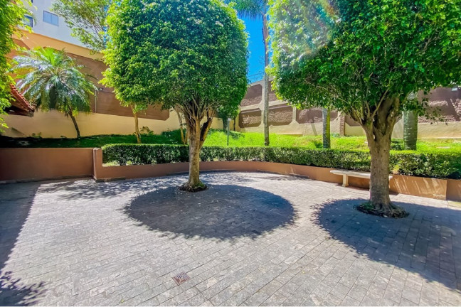 Imagem Imóvel com 3 Quartos à Venda, 55 m² em Jardim Santa Terezinha (zona Leste) - São Paulo Imagem Imóvel com 3 Quartos à Venda, 55 m² em Jardim Santa Terezinha (zona Leste) - São Paulo