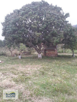 Imagem Terreno à Venda, 1.600 m² em Chácara Santa Mônica - Vargem Grande Paulista Imagem Terreno à Venda, 1.600 m² em Chácara Santa Mônica - Vargem Grande Paulista