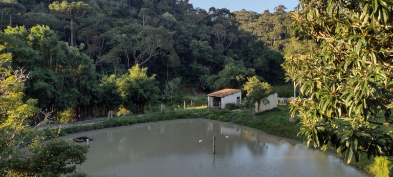 Imagem Chácara com 2 Quartos à Venda, 150 m² em Zona Rural - São Luíz Do Paraitinga Imagem Chácara com 2 Quartos à Venda, 150 m² em Zona Rural - São Luíz Do Paraitinga