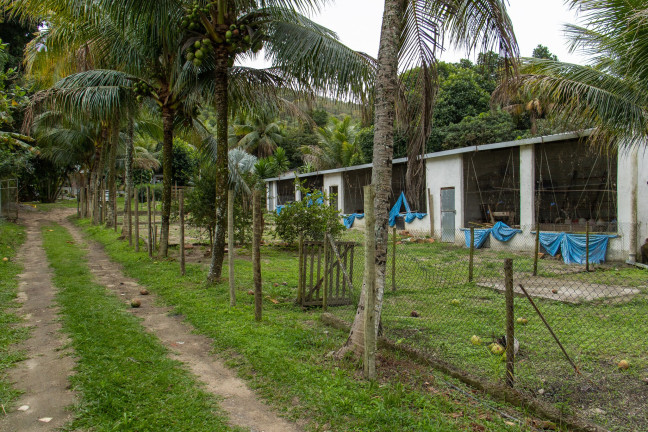 Imagem Imóvel com 7 Quartos à Venda, em Guaratiba - Rio De Janeiro Imagem Imóvel com 7 Quartos à Venda, em Guaratiba - Rio De Janeiro
