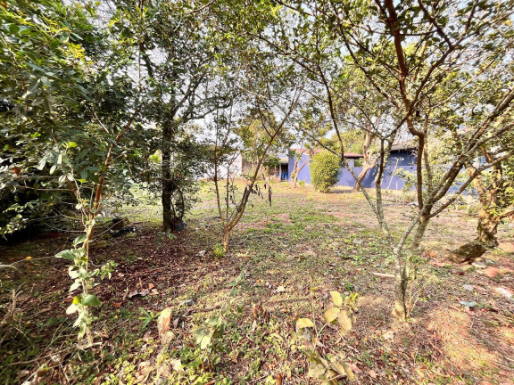 Imagem Terreno à Venda, 329 m² em Campeche - Florianópolis Imagem Terreno à Venda, 329 m² em Campeche - Florianópolis