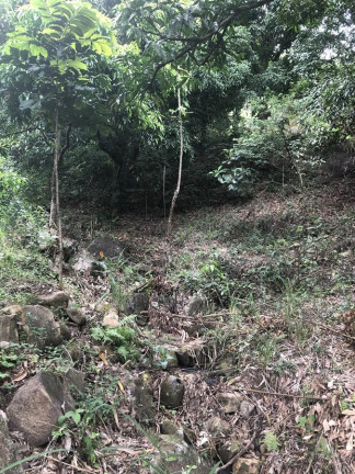 Imagem Imóvel à Venda, 1.200 m² em Campo Grande - Rio De Janeiro Imagem Imóvel à Venda, 1.200 m² em Campo Grande - Rio De Janeiro