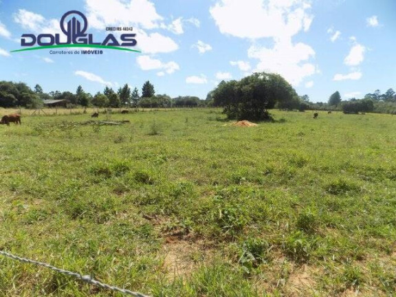 Imagem Terreno à Venda, 1.100 m² em águas Claras - Viamão