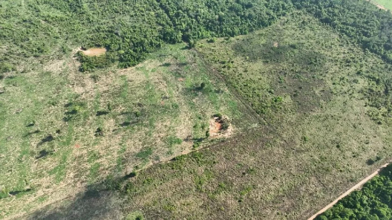Imagem Fazenda à Venda, 650 m² em Zona Rural - Marcelândia Imagem Fazenda à Venda, 650 m² em Zona Rural - Marcelândia