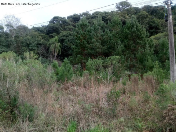 Imagem Terreno à Venda, 429 m² em Linha Imperial - Nova Petrópolis Imagem Terreno à Venda, 429 m² em Linha Imperial - Nova Petrópolis