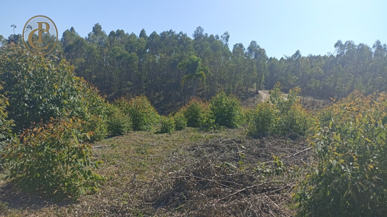 Imagem Fazenda à Venda, 300 m² em Centro - Salesópolis Imagem Fazenda à Venda, 300 m² em Centro - Salesópolis