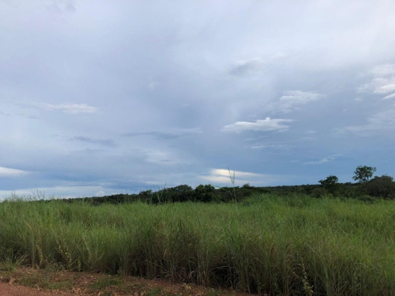 Imagem Fazenda à Venda,  em Rural - Figueirópolis