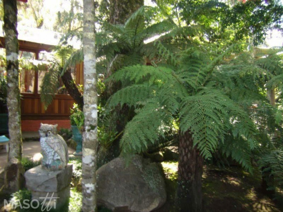 Imagem Casa com 3 Quartos à Venda, 245 m² em Mato Queimado - Gramado Imagem Casa com 3 Quartos à Venda, 245 m² em Mato Queimado - Gramado