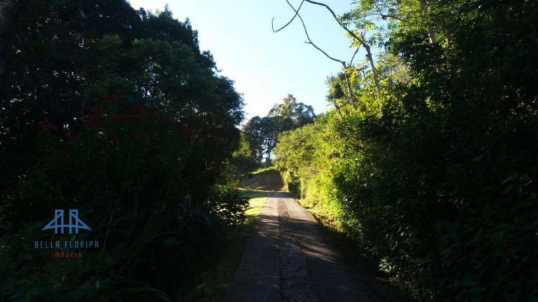 Imagem Chácara com 3 Quartos à Venda, 12.800 m² em Vargem Pequena - Florianópolis Imagem Chácara com 3 Quartos à Venda, 12.800 m² em Vargem Pequena - Florianópolis