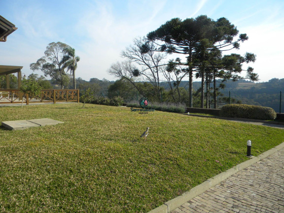 Imagem Terreno à Venda, 624 m² em Bavária - Gramado Imagem Terreno à Venda, 624 m² em Bavária - Gramado