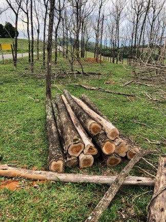 Imagem Terreno à Venda, 72.000 m²
