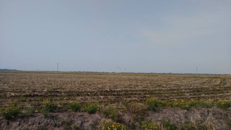 Imagem Chácara à Venda, 194 m² em águas Claras - Viamão