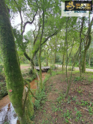 Imagem Imóvel com 1 Quarto à Venda, 30.000 m² em Cascata - Pelotas