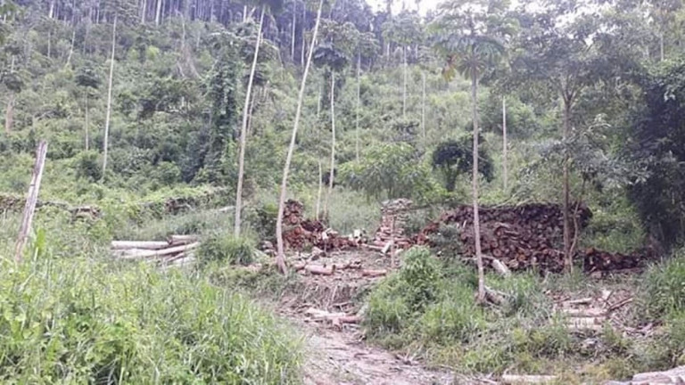 Imagem Chácara com 2 Quartos à Venda, 200 m² em Lajeado - Paraibuna Imagem Chácara com 2 Quartos à Venda, 200 m² em Lajeado - Paraibuna