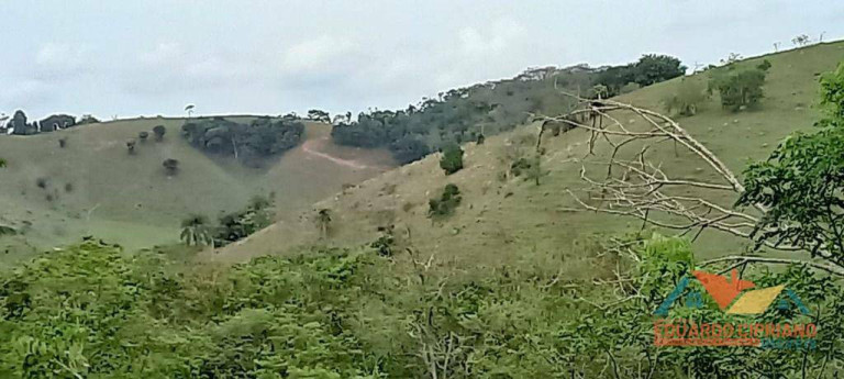 Imagem Imóvel à Venda, 31.000 m² em Capim Da Angola - Paraibuna