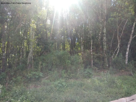 Imagem Terreno à Venda, 370 m² em Linha Imperial - Nova Petrópolis Imagem Terreno à Venda, 370 m² em Linha Imperial - Nova Petrópolis