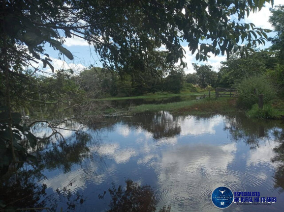 Imagem Fazenda à Venda, 195 m² em Zona Rural - Ribeirão Cascalheira Imagem Fazenda à Venda, 195 m² em Zona Rural - Ribeirão Cascalheira