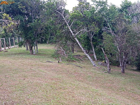 Imagem Terreno à Venda, 3.484 m² em Silveira - Garopaba