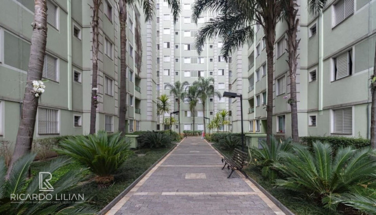 Imagem Apartamento com 2 Quartos à Venda, 45 m² em Jardim Santa Terezinha (zona Leste) - São Paulo