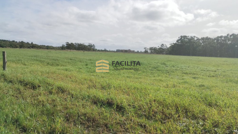 Imagem Imóvel com 2 Quartos à Venda, 470.000 m² em Quinta - Rio Grande Imagem Imóvel com 2 Quartos à Venda, 470.000 m² em Quinta - Rio Grande