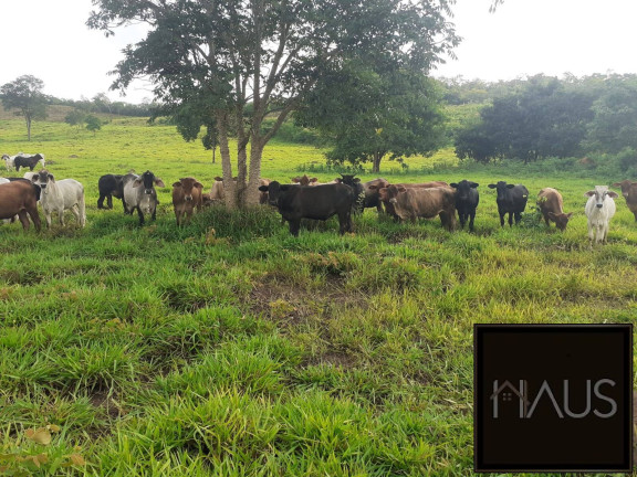Imagem Chácara à Venda, 7.150.000.000 m² em Santo Hipólito Imagem Chácara à Venda, 7.150.000.000 m² em Santo Hipólito