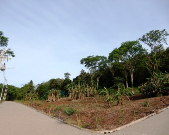 Imagem Imóvel à Venda, 400 m² em São João - Picada Café Imagem Imóvel à Venda, 400 m² em São João - Picada Café