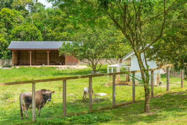 Imagem Terreno à Venda, 600 m² em Rio Do Meio - Camboriú