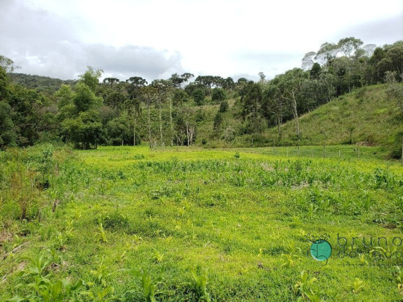 Imagem Imóvel com 3 Quartos à Venda, 350.000 m² em Zona Rural - Bom Retiro Imagem Imóvel com 3 Quartos à Venda, 350.000 m² em Zona Rural - Bom Retiro